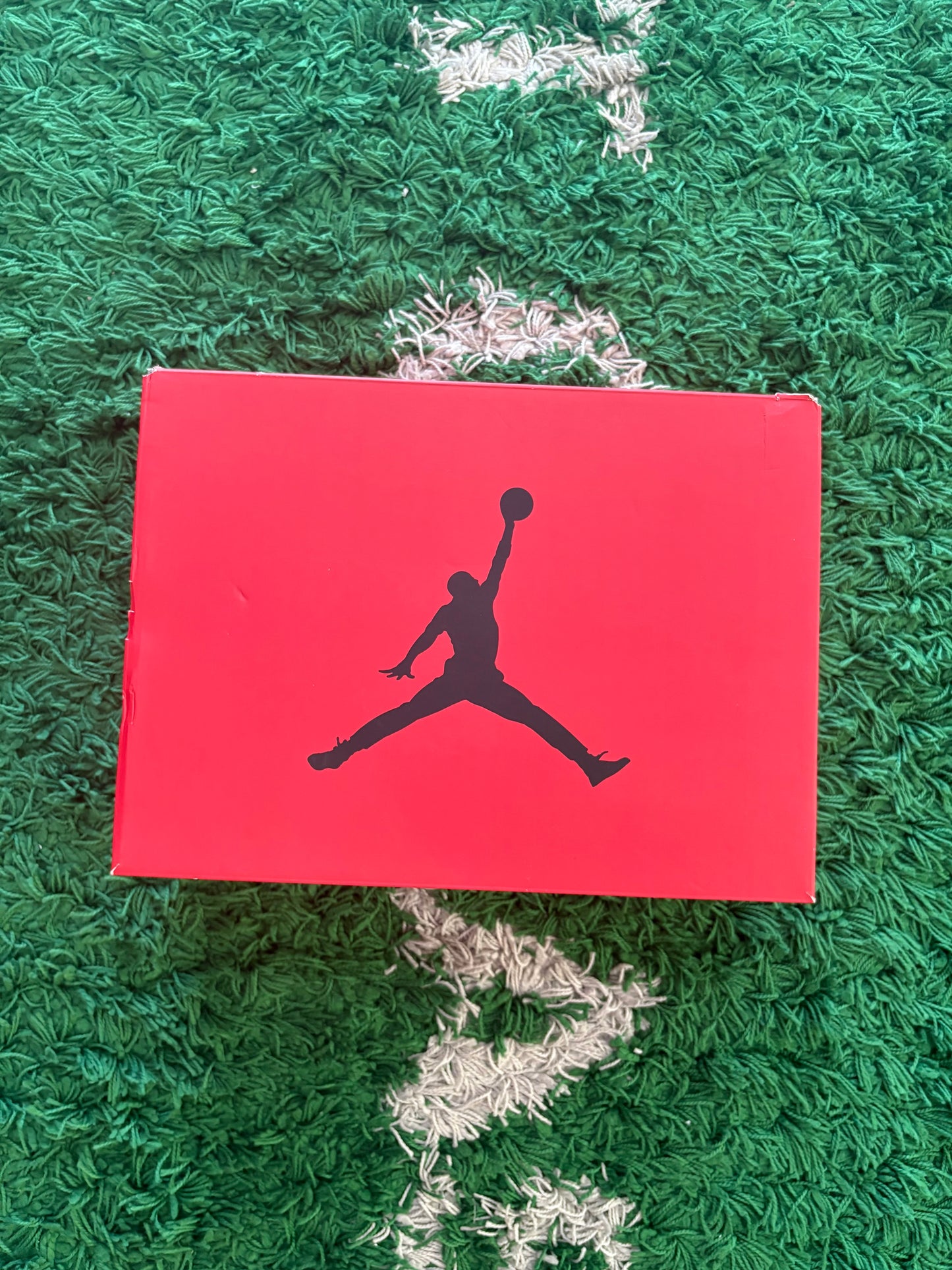 Jordan Retro 6 “Toro Bravo”