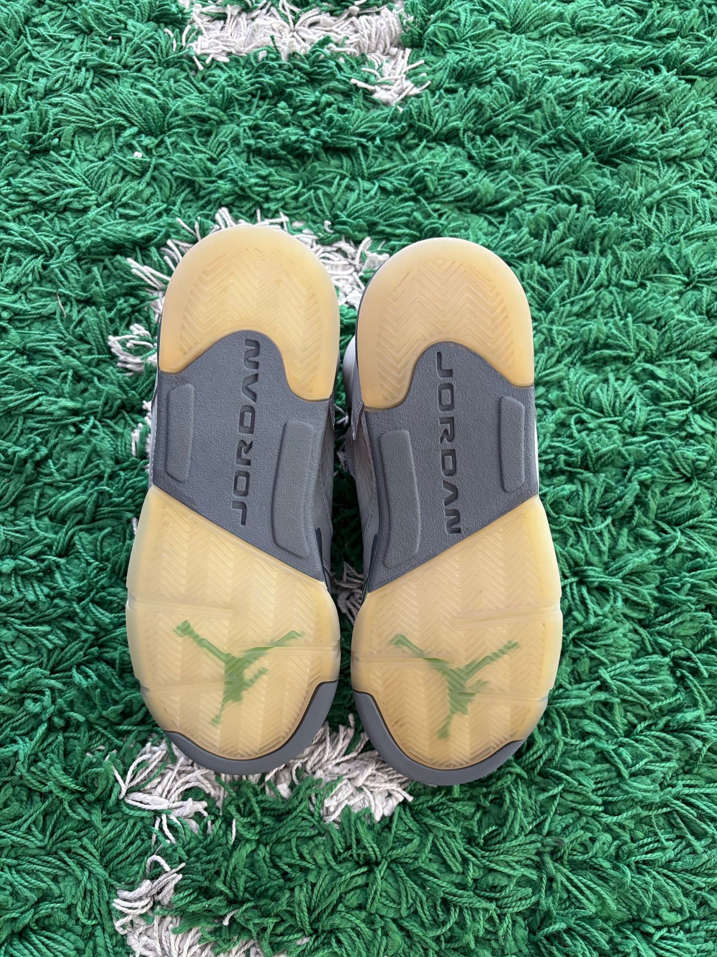 Jordan Retro 5 “Green Bean”