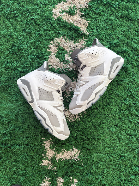 Jordan Retro 6 “Cool Grey”