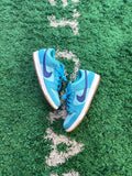 Nike Sb Dunk Low “Blue fury”