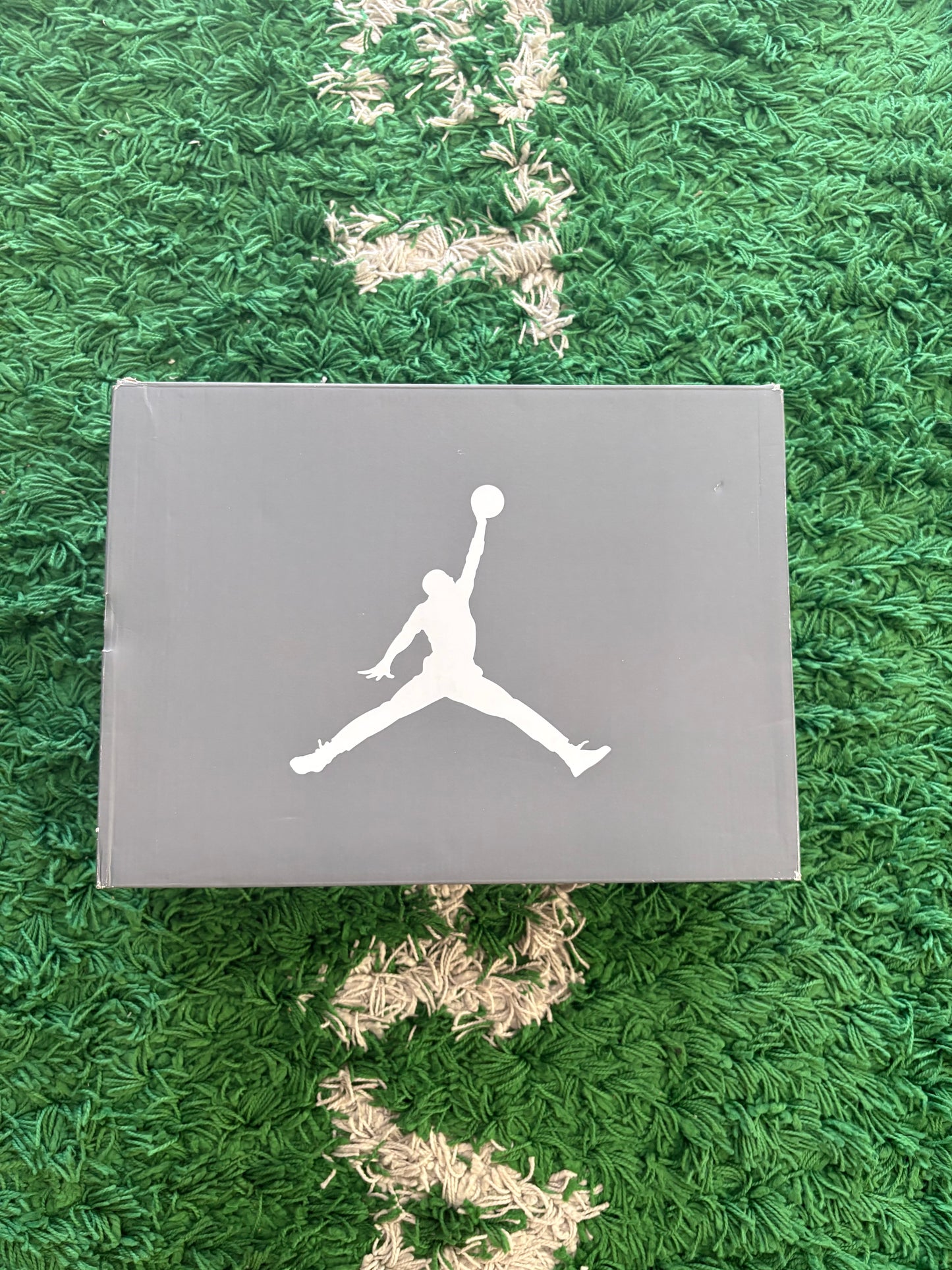 Jordan Retro 6 “Cool Grey”