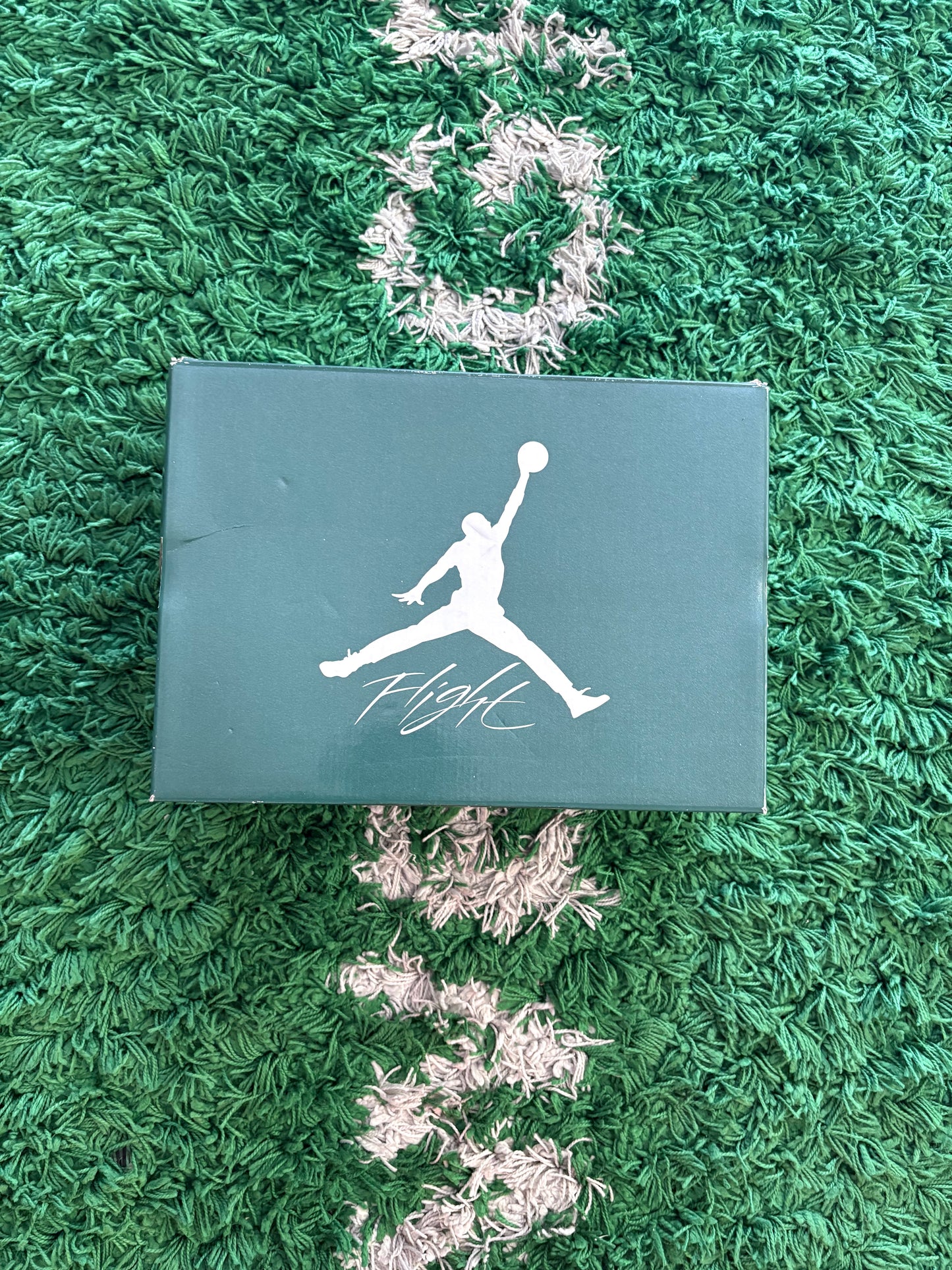 Jordan Retro 4 “oxidized green”