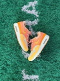Nike Airmax 1 Puerto Rico “Parcha”