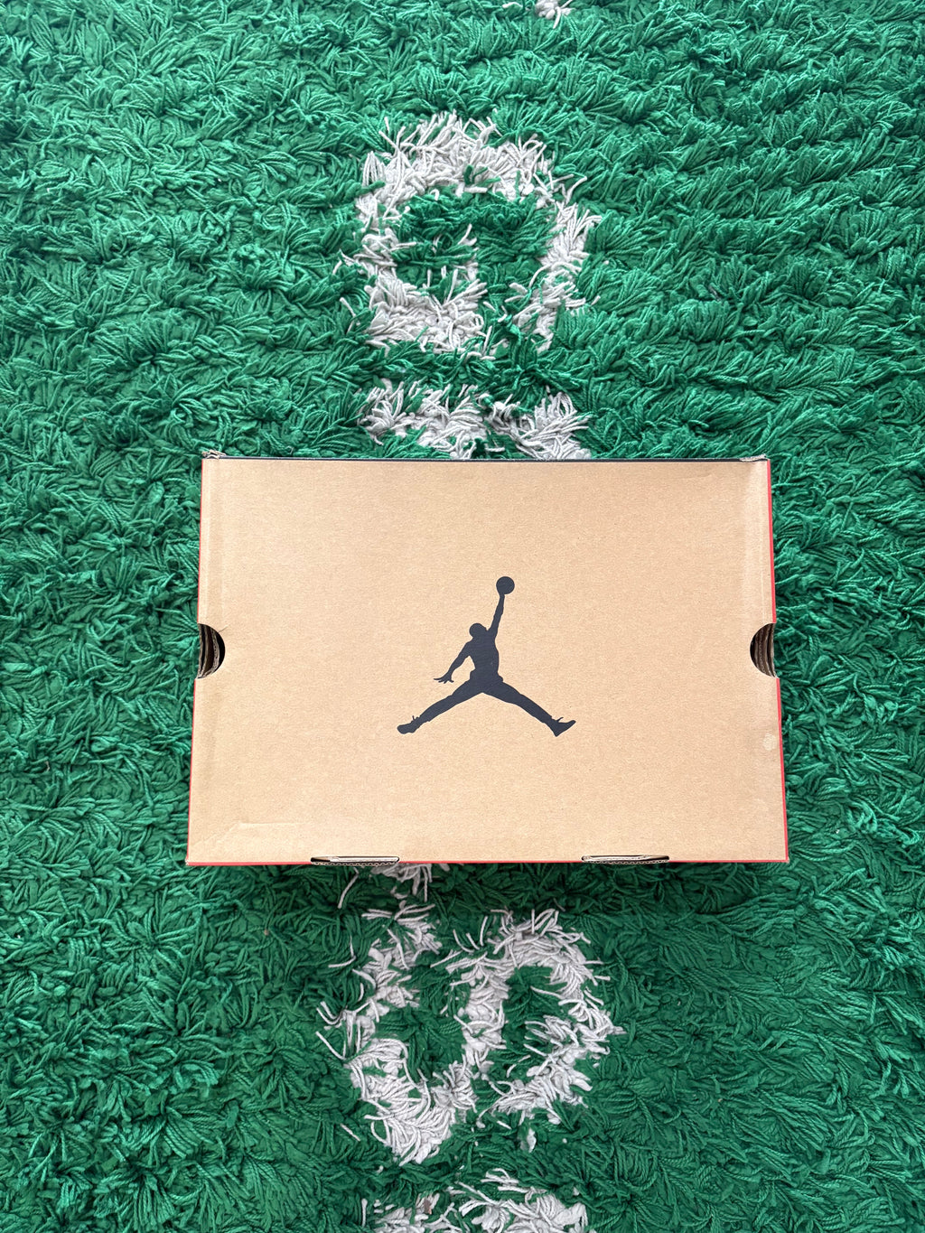 Jordan Retro 12 “Playoffs”