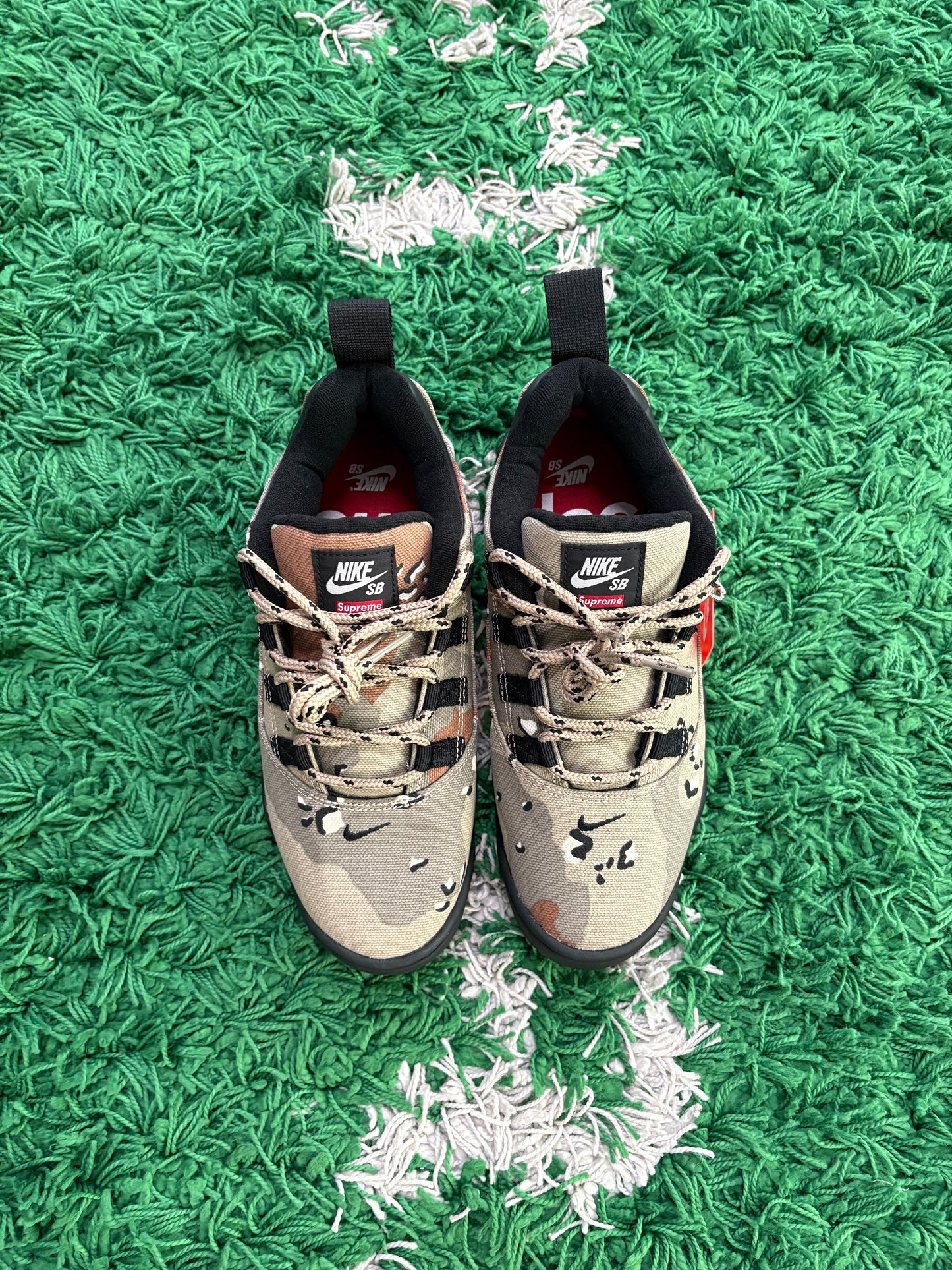 Supreme x Nike Darwin Low Sb “Desert Camo”