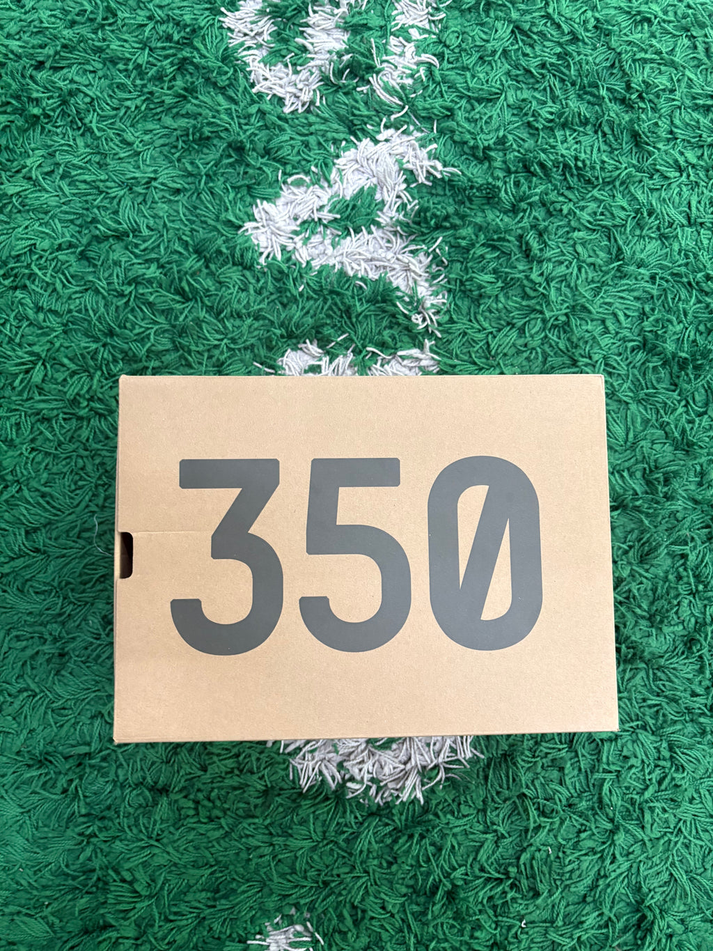 Adidas Yeezy Boost 350 V2 “Carbon Beluga”
