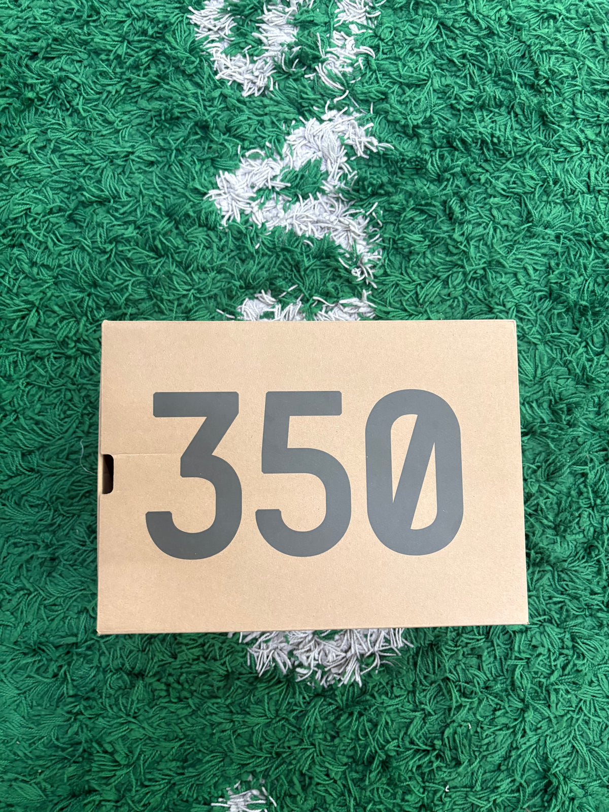 Adidas Yeezy Boost 350 V2 “Carbon Beluga”
