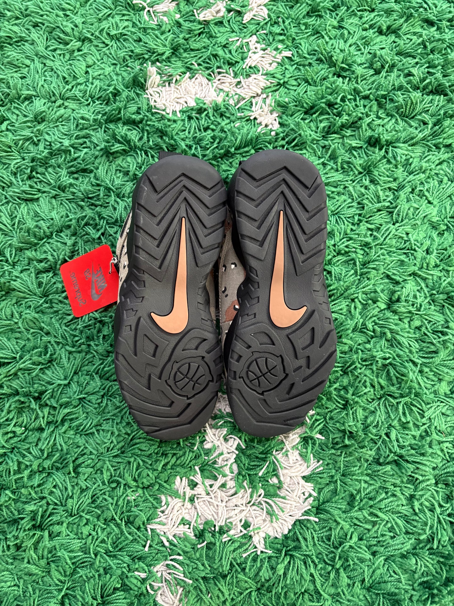 Supreme x Nike Darwin Low Sb “Desert Camo”