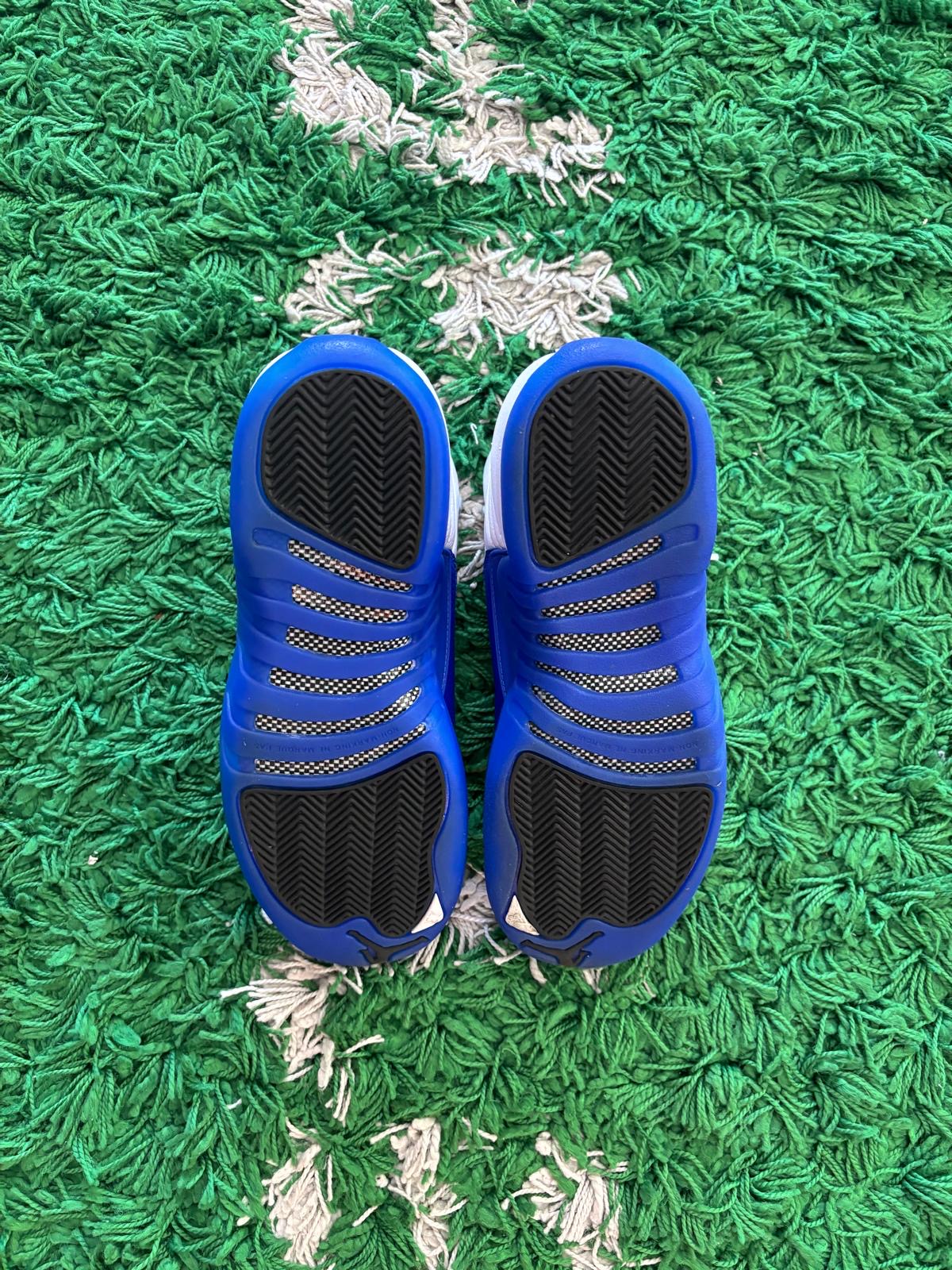 Jordan Retro 12 “Blueberry”