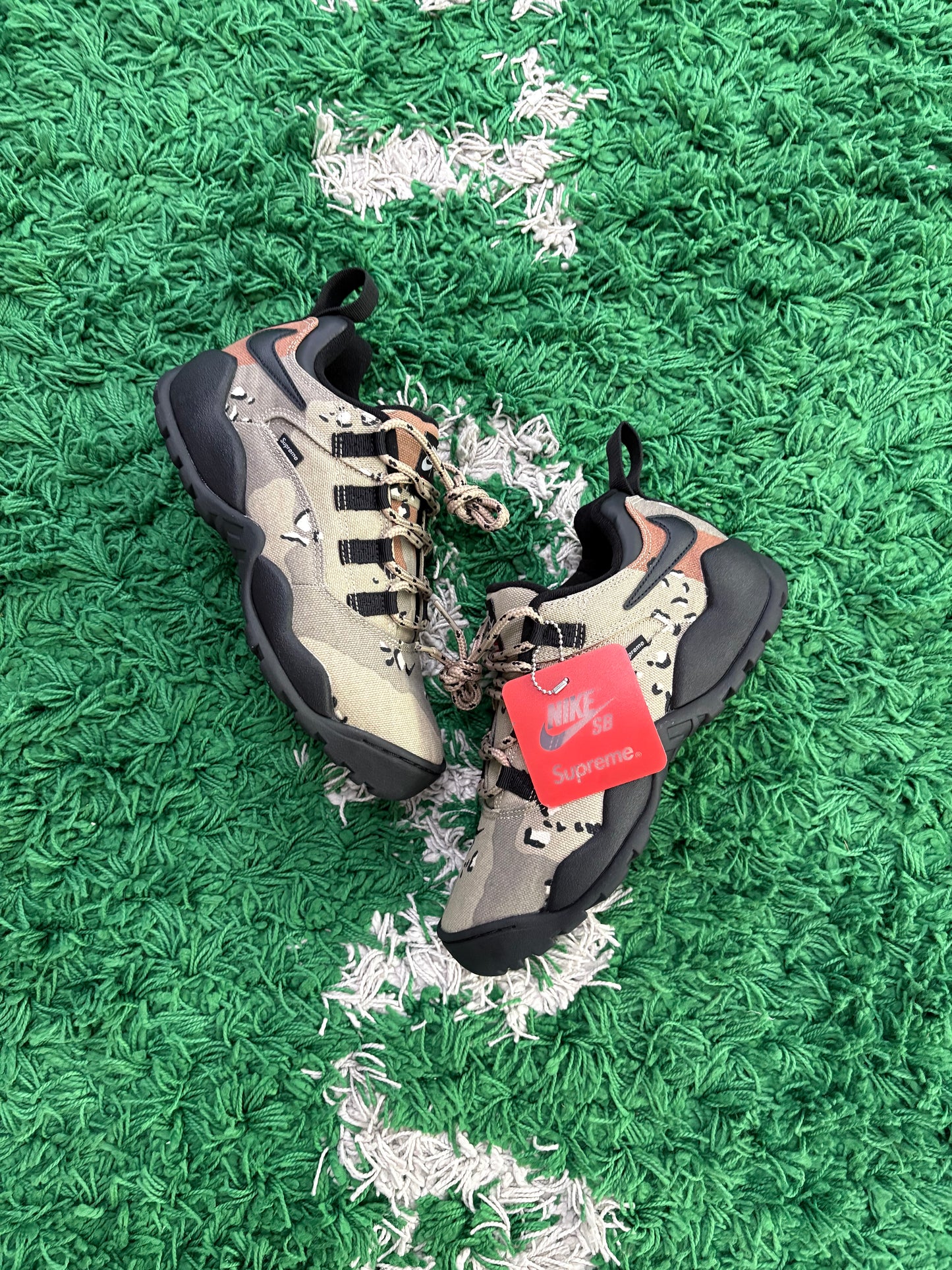Supreme x Nike Darwin Low Sb “Desert Camo”