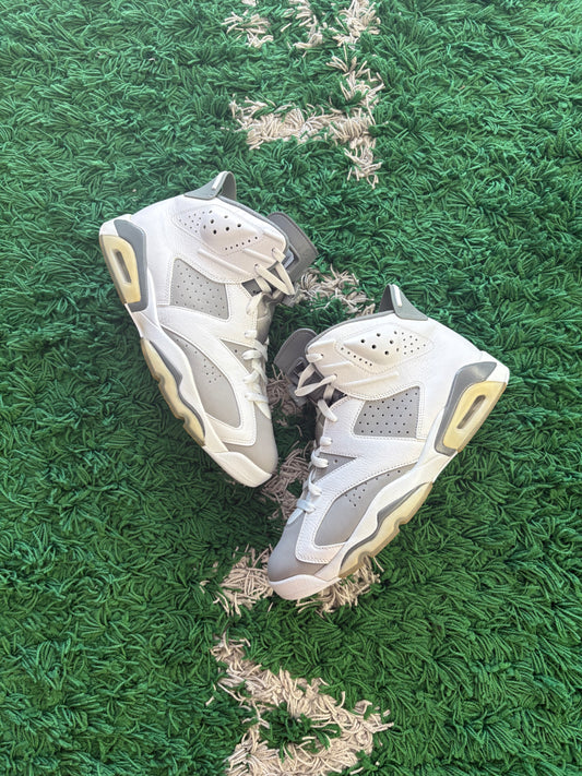 Jordan Retro 6 “Cool Grey”