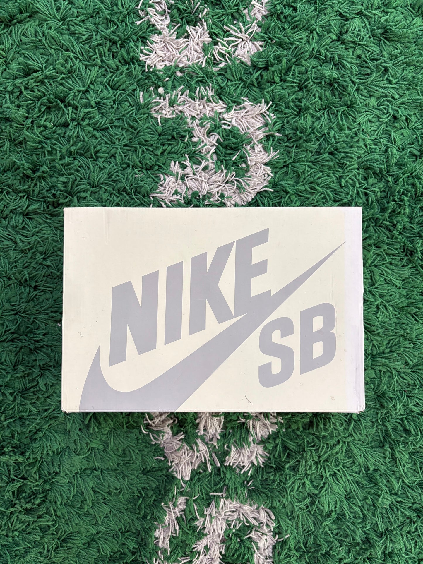 Supreme x Nike Darwin Low Sb “Desert Camo”