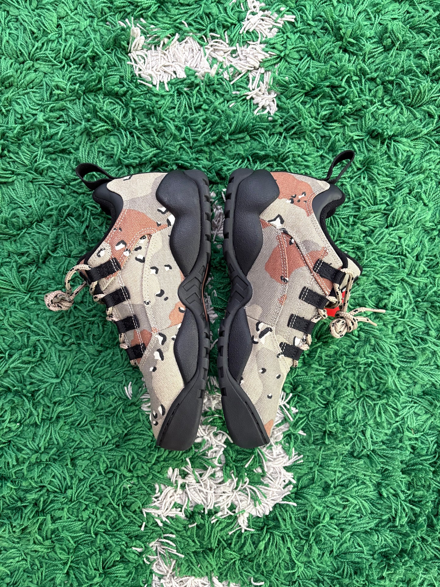 Supreme x Nike Darwin Low Sb “Desert Camo”